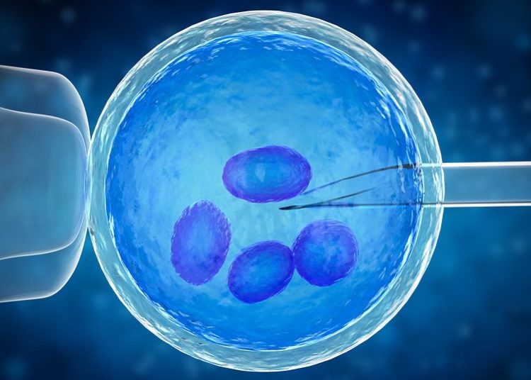 Ελληνική εταιρία δίνει δώρο Χριστουγέννων σε εργαζόμενους της κατάψυξη ωαρίων