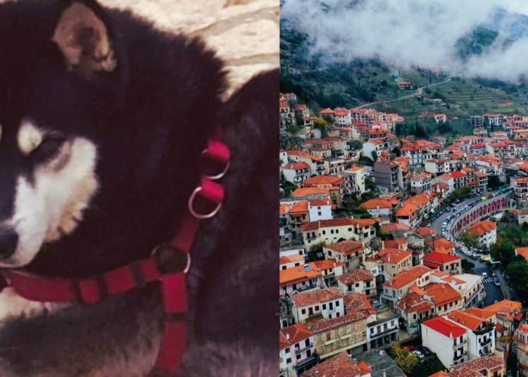 Υπόθεση Όλιβερ: Μάρτυρας καταγγέλλει ότι τον καθυστερούν να καταθέσει