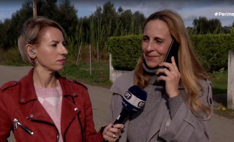 Πύργος: Απών για τα αδέσποτα ζώα-Οι φιλοζωϊκές βγάζουν την δύσκολη δουλειά