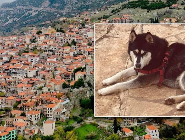 Συγγνώμη Όλιβερ, αυτός ο κόσμος δεν σου άξιζε!