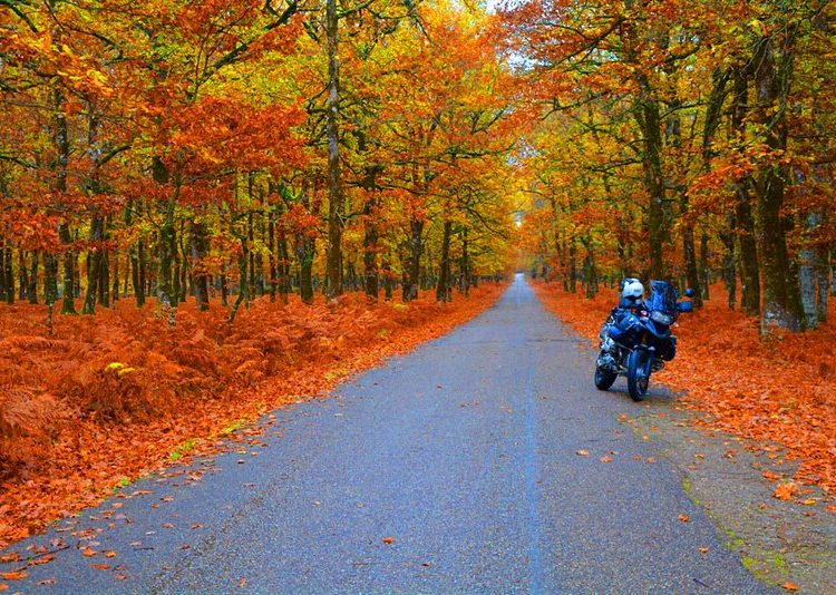 Χειμερινός τουρισμός: Η Πελοπόννησος με πληρότητα κρατήσεων ενώ η Ηλεία μένει εκτός-Πανέμορφα μέρη βουλιάζουν στην πολιτική απραξία