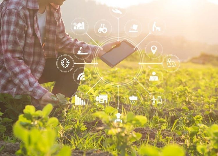 Δυτική Ελλάδα: Η υψηλή τεχνολογία μπαίνει στο χωράφι