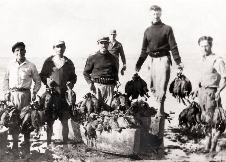 Η αποξήρανση των λιμνών του Πύργου