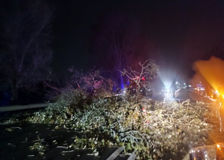 ΠΑΤΡΩΝ – ΠΥΡΓΟΥ: Δένδρο έπεσε στον δρόμο και διέκοψε την κυκλοφορία