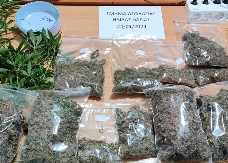 Γαστούνη: Καλλιεργούσε ναρκωτικά, τον ¨κάρφωσαν¨ και συνελήφθη