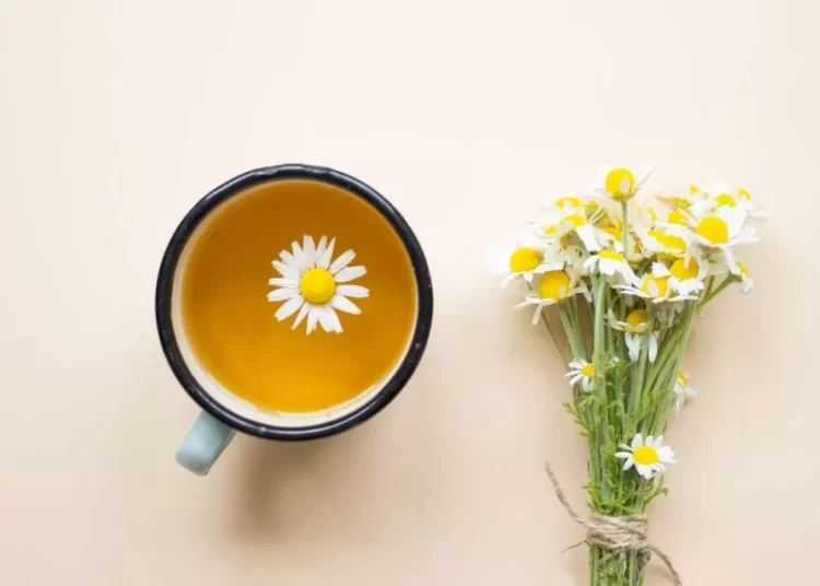 Έχετε άγχος; Τέσσερα βότανα που το καταπολεμούν και βελτιώνουν τον ύπνο