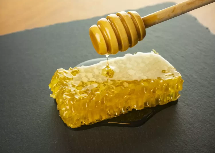 Βασιλικός πολτός: Οι ευεργετικές επιδράσεις του στην υγεία και όσα πρέπει να γνωρίζετε