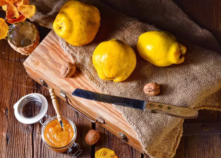 Ο καρπός της αγάπης, της γονιμότητας και της ευτυχίας – Ρυθμίζει σάκχαρο και χοληστερόλη