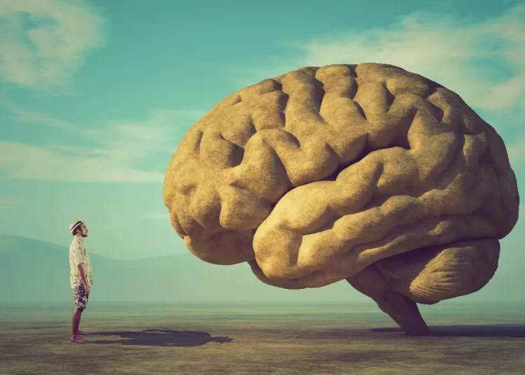 Μακροζωία: Πώς θα κερδίσουμε 5 επιπλέον χρόνια ζωής – Ανακαλύψτε την πηγή νεότητας που βρίσκεται στο σώμα μας