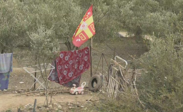 Παλαιοχριστιανοί: Σε δασαρχείο υπάλληλος και η μητέρα-Θα γίνει DNA στα παιδιά