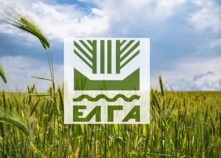 ΕΛΓΑ: Τώρα δίνει στο 100% τις αποζημιώσεις για το 2023