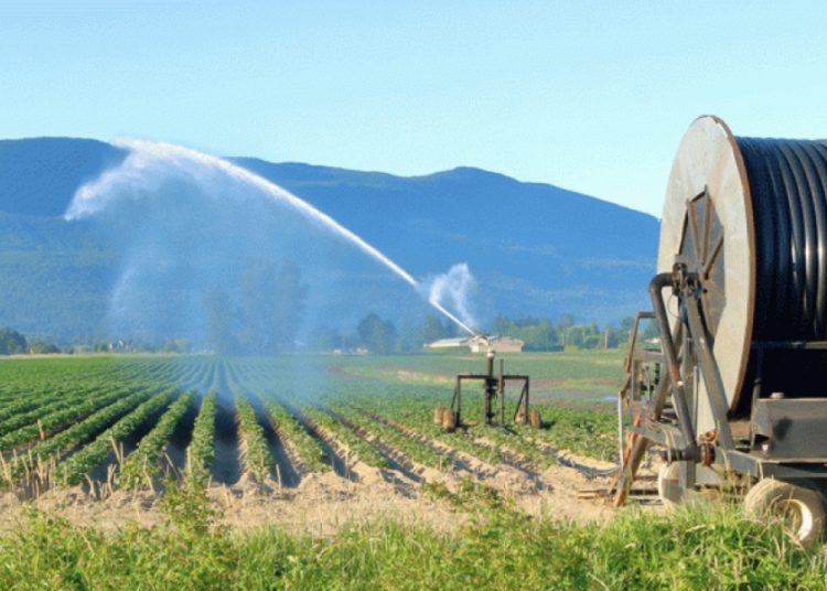 Αγροτικό ρεύμα: Έκπτωση 10%, ρυθμίσεις χρεών και «πράσινη» ενέργεια – Τα μέτρα για μείωση του κόστους