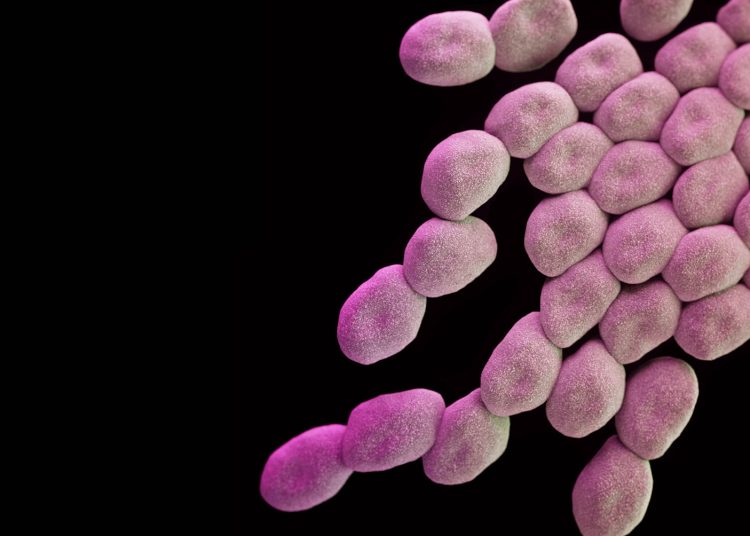 Ελλάδα: Πανικός από τα αυξανόμενα κρούσματα στρεπτόκοκκου