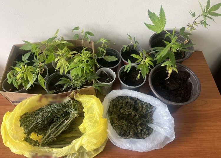 Πύργος: Καλλιεργούσε σε γλάστρες ναρκωτικά