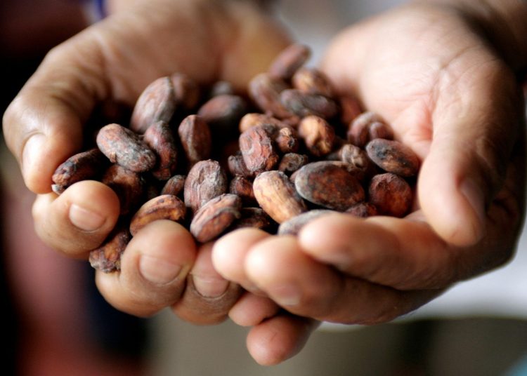 Τεράστιες αυξήσεις στο κακάο-Ακριβότερο και από τον χαλκό