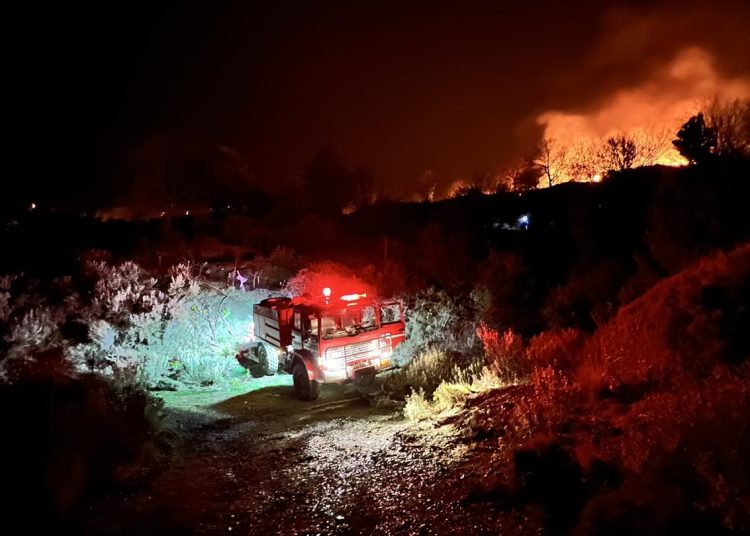 Φωτιά χτες τη νύχτα έκαψε μεγάλες εκτάσεις στη Μεσσηνία