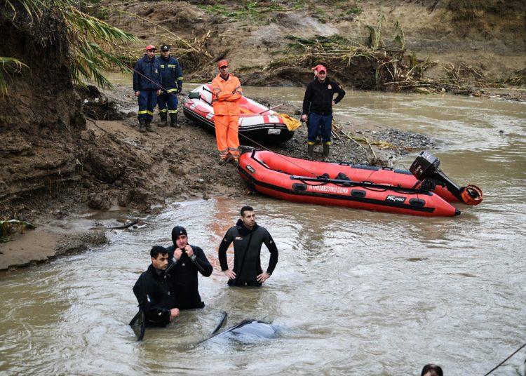 Φράγμα Φλόκα: Στον Νίκο Αναστόπουλο ανήκει η σορός που εντοπίστηκε από βοσκό