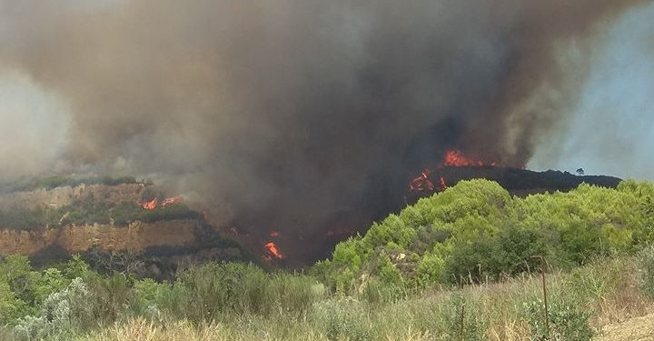 Ηλεία: Τεράστιο παραμένει το πρόβλημα πρόκλησης πυρκαγιών από αμέλεια – Νέες συλλήψεις και πρόστιμα