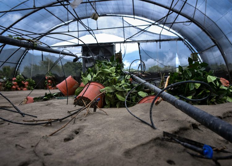 Αγρότες: Βγήκαν τα πορίσματα ΕΛΓΑ για ζημιές του 2023
