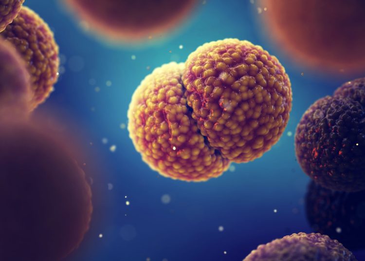 Χάβαρι: Επιδεινώθηκε η υγεία της γυναίκας που έχει μηνιγγίτιδα