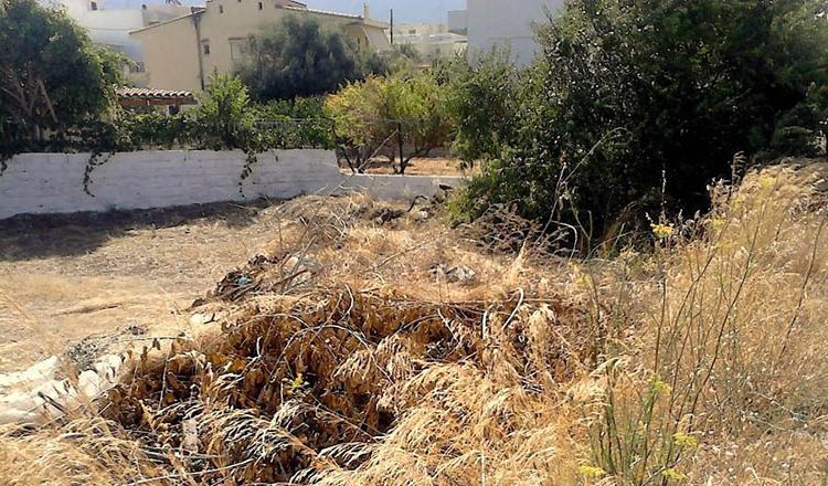 Δήμοι Πύργου & Ήλιδας ζητούν καθαρισμό ιδιωτικών οικοπέδων αλλιώς πρόστιμα