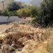 Δήμοι Πύργου & Ήλιδας ζητούν καθαρισμό ιδιωτικών οικοπέδων αλλιώς πρόστιμα