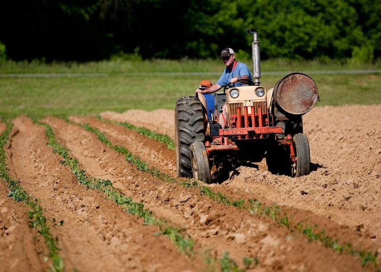 Υπό εξαφάνιση οι αγρότες μέχρι το 2050-Ο ρόλος της αγροτικής οικονομίας στο μέλλον