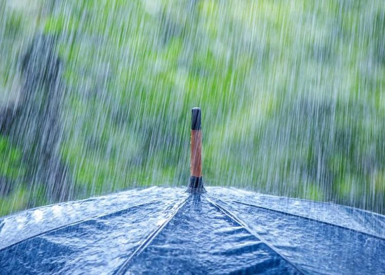 Kαιρός: Έρχονται από Παρασκευή στα Δυτικά βροχές και κρύο