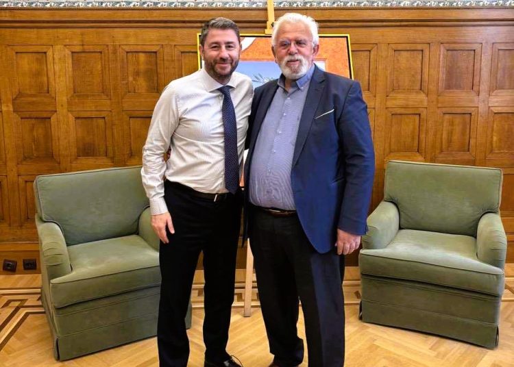 Ο Ανδρουλάκης στο πλευρό του Δήμου Ήλιδας για το Πρωτοδικείο