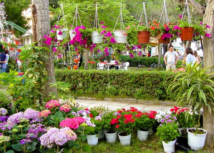 Αμαλιάδα: Το πρόγραμμα εκδηλώσεων στην Ανθοκομική έκθεση (16/5 – 22/5)