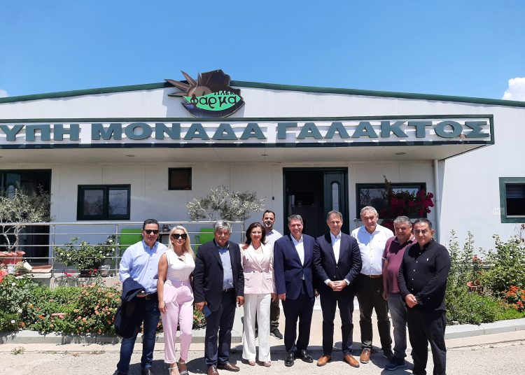 Ηλεία: Κοινή περιοδεία Αυγερινοπούλου & Θεοχάρη σε επιχειρήσεις