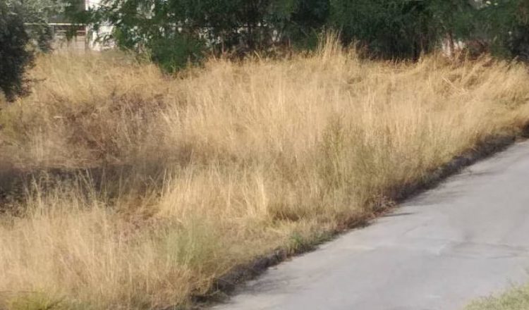 Αλλάζουν όλα για τα ακαθάριστα οικόπεδα-Πρόστιμα 1000 ευρώ