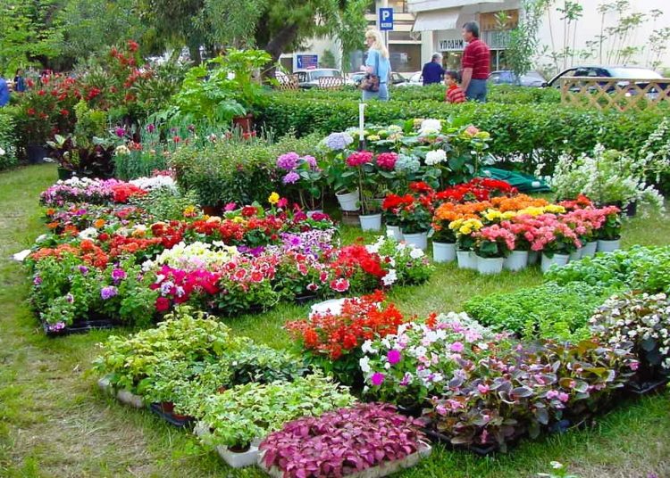 Aμαλιάδα: Στις 16 Μαΐου ξεκινά η Πανηλειακή Ανθοκομική Έκθεση