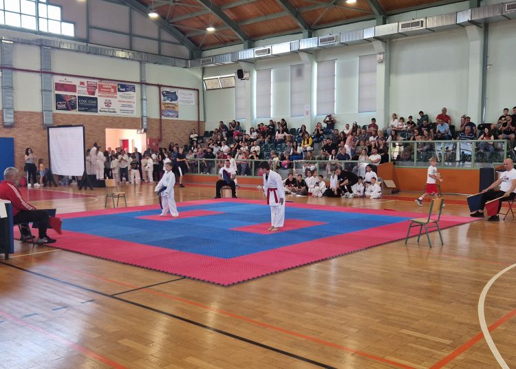 Γαστούνη: Με επιτυχία η 7η Αγωνιστική Ημερίδα Καράτε