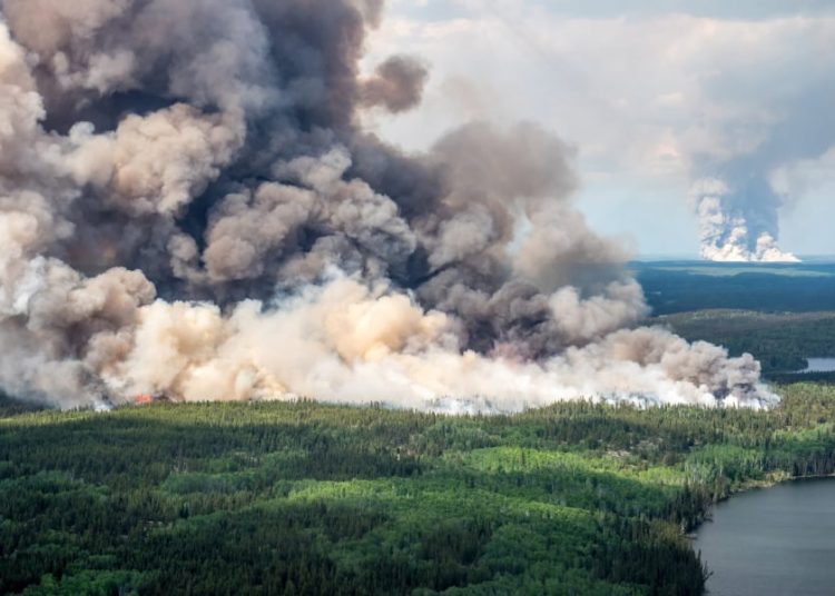 Η κλιματική αλλαγή συγκρίνεται με έναν μόνιμο πόλεμο – Θα κάνει τους ανθρώπους κατά 50% φτωχότερους