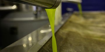 Ακριβαίνει πάλι το ελαιόλαδο -Δείτε τι συμβαίνει