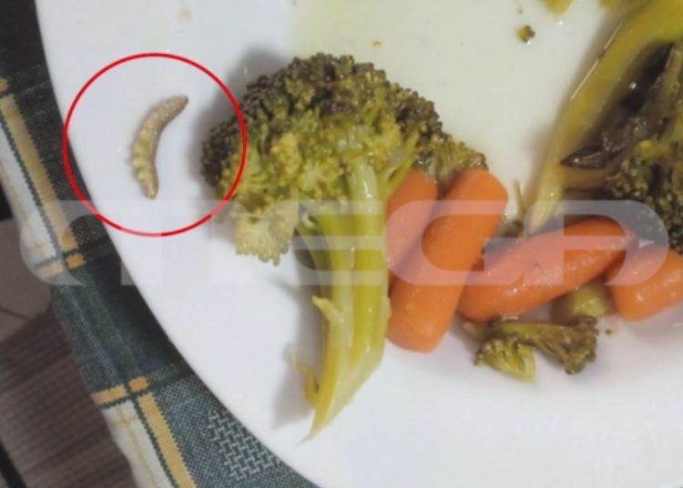 Σχολικά γεύματα-Καταγγελίες για κάμπιες στο φαγητό της εταιρίας που κάηκε