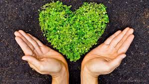 Απειλείται με εξαφάνιση το 21,5% της πανίδας της Ελλάδας