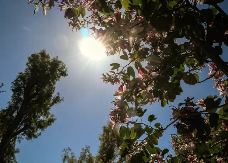 Καιρός: Αισθητή βελτίωση με ηλιοφάνεια και 24 βαθμούς στην Ηλεία τη Δευτέρα και την Τρίτη του Πάσχα