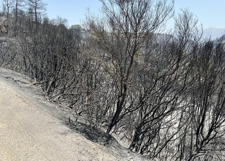 Ηλεία: Μεγάλες οι καταστροφές σε Αλποχώρι-Πηνεία-Σε απόγνωση αγρότες & πολίτες