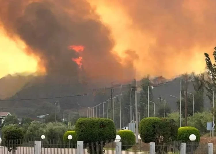 Μεγάλη φωτιά σε Αλποχώρι, Χανάκια, Φραγκαπήδημα & Μυρτιά – Εντοπίστηκε νεκρός άνδρας (φωτο)