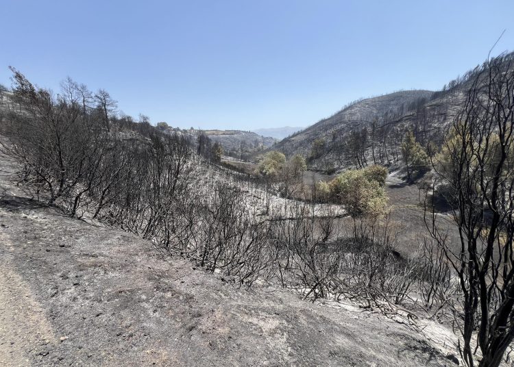 Πηνεία: Ιδιοκτήτης ταβέρνας προσέφερε φαγητό σε πυροσβέστες και πυρόπληκτους