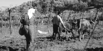 Ηλεία, 1960: Ο Γιάννης ο φονιάς που σκότωσε με επτά μαχαιριές την άπιστη γυναίκα του