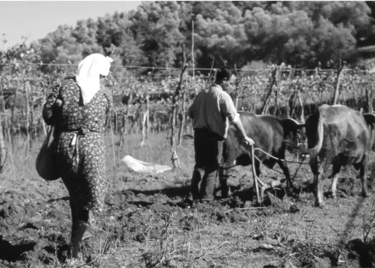 Ηλεία, 1960: Ο Γιάννης ο φονιάς που σκότωσε με επτά μαχαιριές την άπιστη γυναίκα του