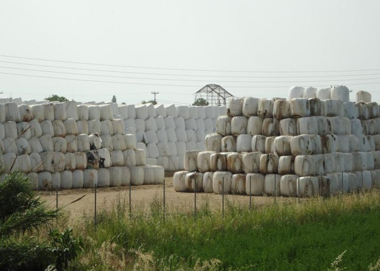 Υπουργείο Περιβάλλοντος: Θα απομακρυνθούν σύντομα τα απορρίμματα από το Ποτόκι