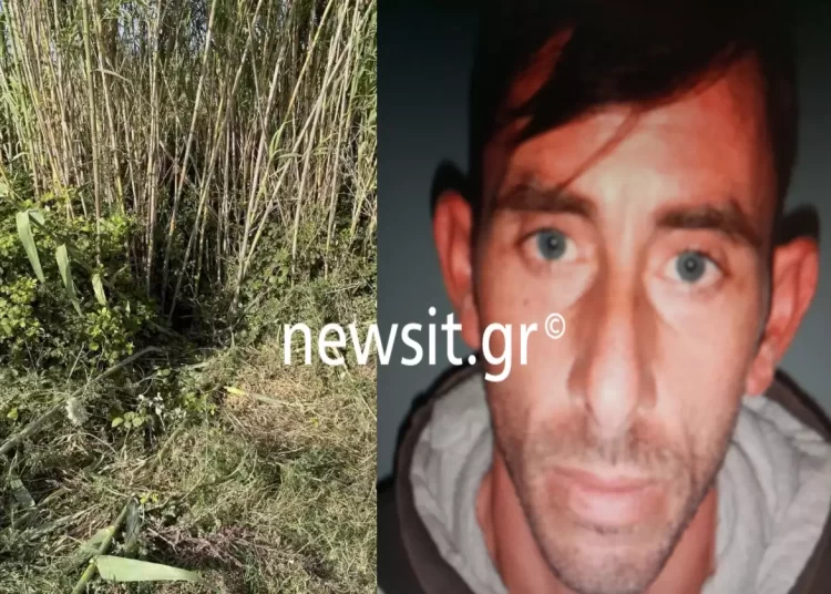 Ηλεία: Η κυνική ομολογία του 37χρονου δολοφόνου της Βασιλικής – «Τη σκότωσα με κατσαβίδι»