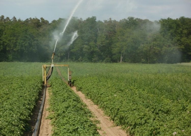 ΓΟΕΒ Αλφειού-Πηνειού: Διακοπές στο νερό προκαλούν προβλήματα στους αγρότες