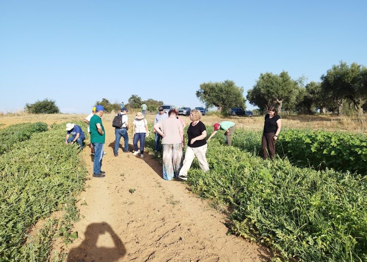 Γεωπόνοι Ηλείας: Προβλήματα στις καλλιέργειες από έντομα