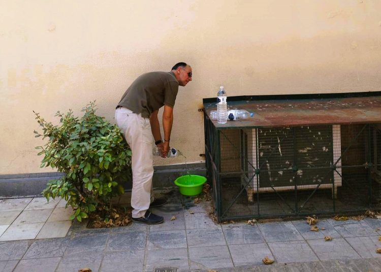 Δήμος Ήλιδας: Μερίμνησε βάζοντας νερό για τα αδέσποτα ζώα