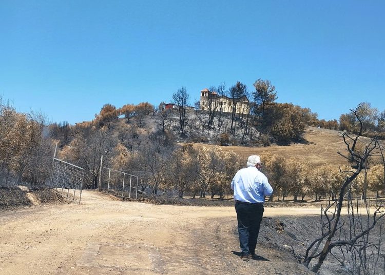 Δήμος Ήλιδας: 250.000 ευρώ επιχορήγηση για νέες παρεμβάσεις πυροπροστασίας